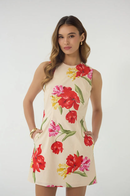 JANESTA DRESS
