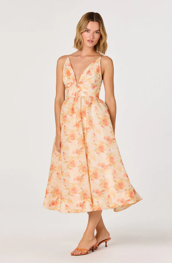 JANNA DRESS