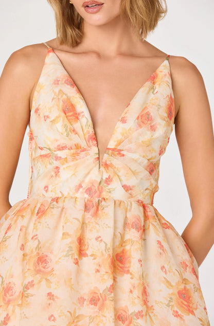 JANNA DRESS