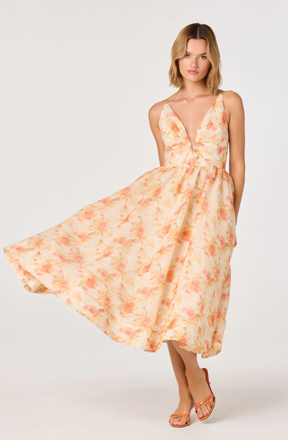 JANNA DRESS