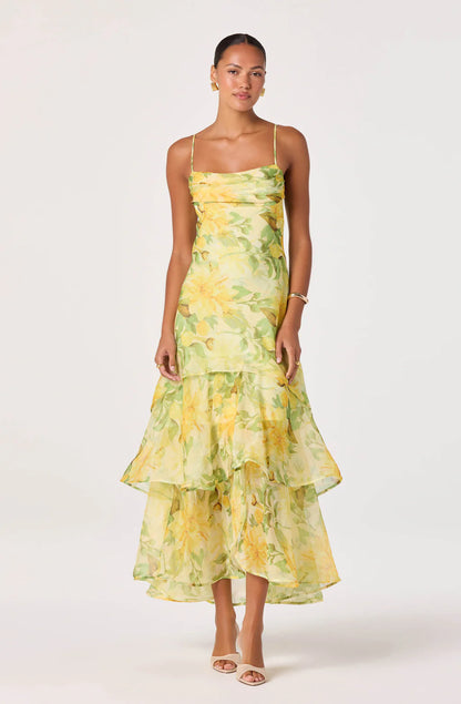 Alison Floral Tiered Drop-Waist Maxi Dress