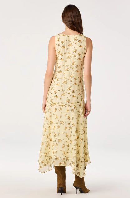 Halo Floral Drop-Waist Maxi Dress