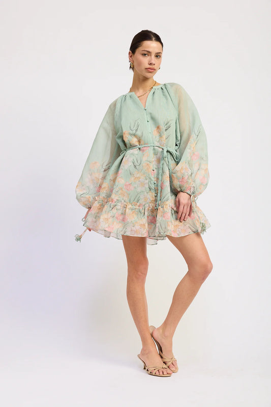 Balloon Sleeve Bordered Print Mini Dress