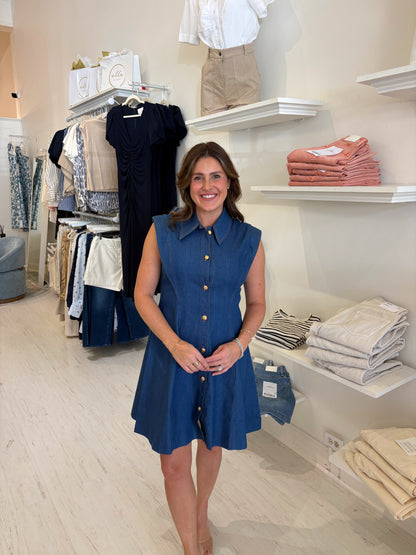 Albie Dress Denim