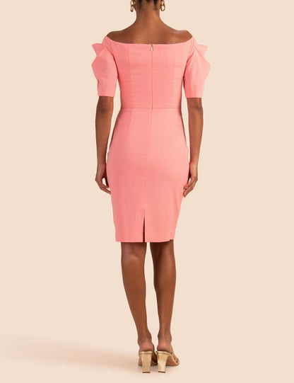 WITTY DRESS ~