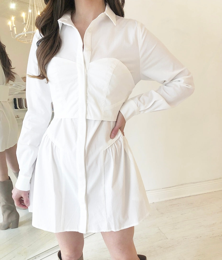 CAPTURE CORSET DRESS ~